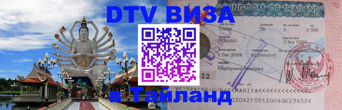 Сколько стоит DTV виза — актуальные цены, оформление даже без документов - 